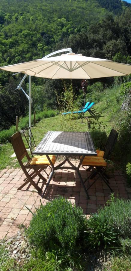 Chez Daniel 