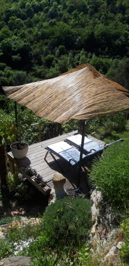 Chez Daniel 