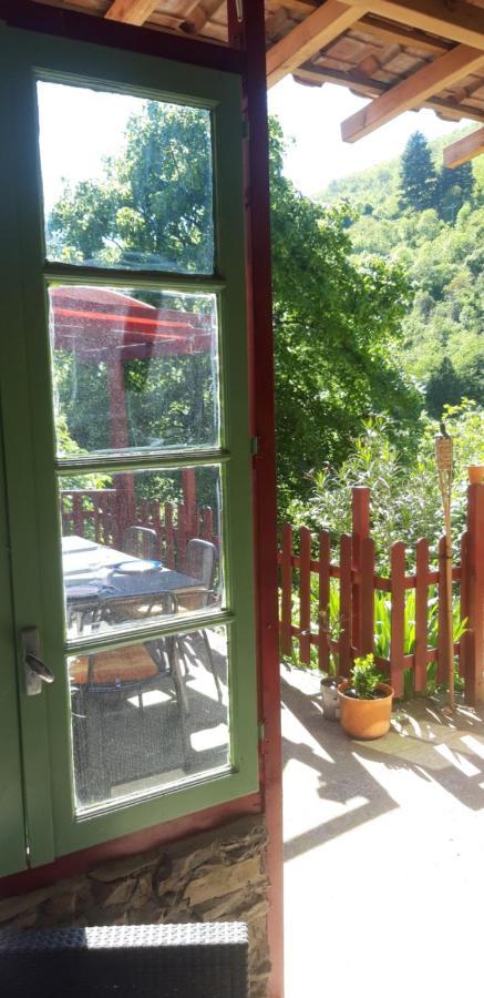 Chez Daniel 