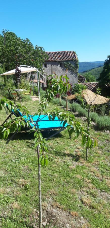 Chez Daniel 