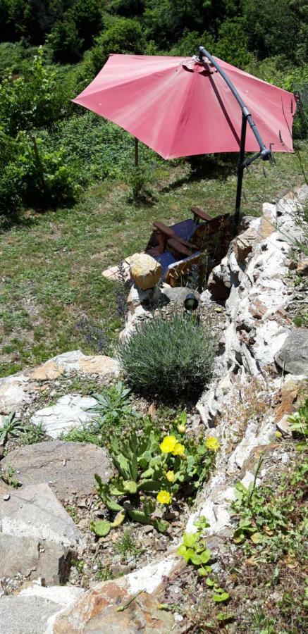 Holiday home Chez Daniel 